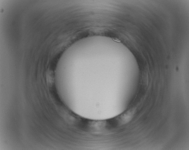 X0000067950135200604272109