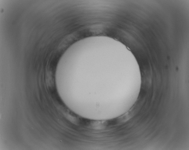 X0000067950136200604272109