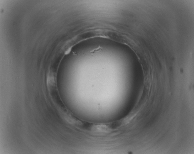 X0000067950137200604272109