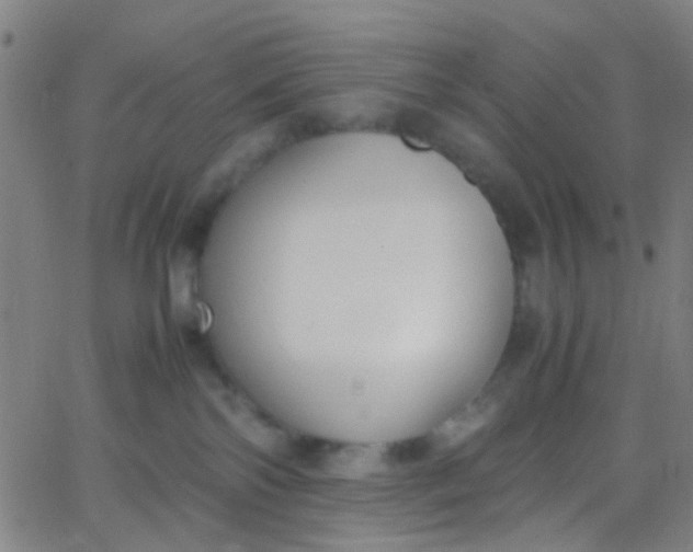 X0000067950138200604272109