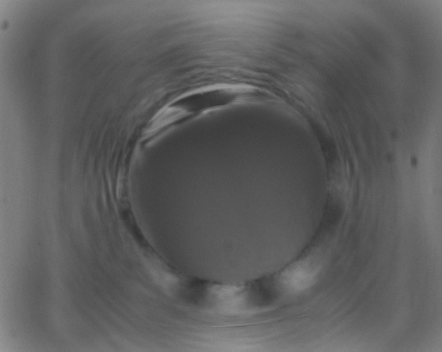 X0000067950139200604272109