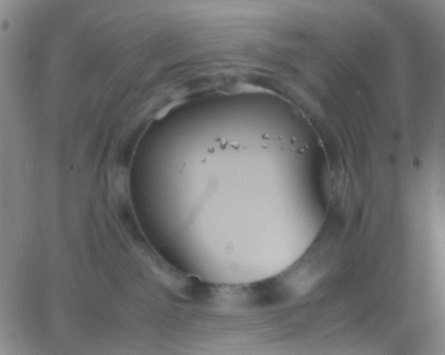 X0000067950141200604272109