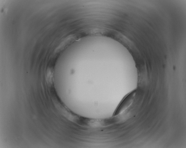 X0000067950142200604272109