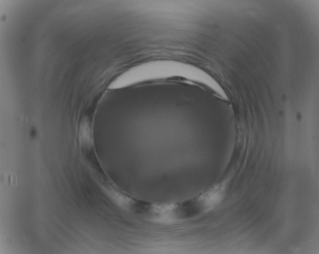 X0000067950143200604272109