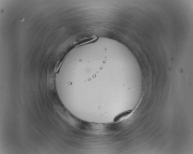 X0000067950144200604272109