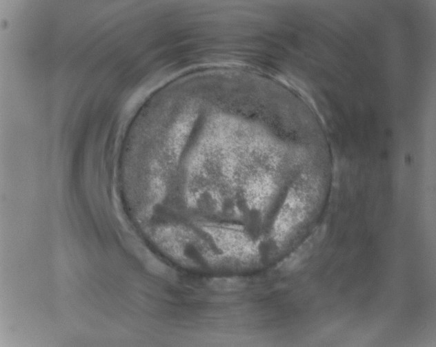 X0000067950145200604272108