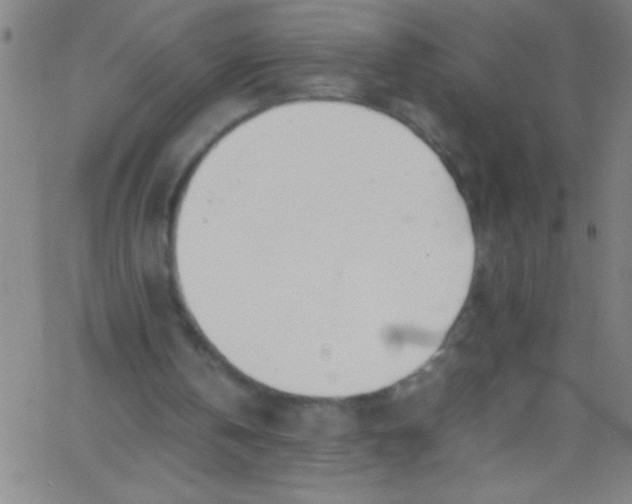 X0000067950146200604272108