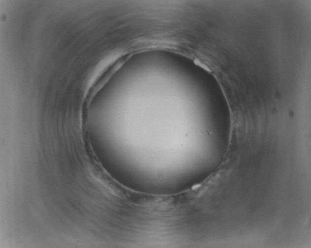 X0000067950148200604272108