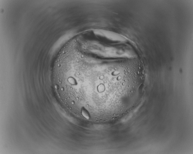 X0000067950149200604272108