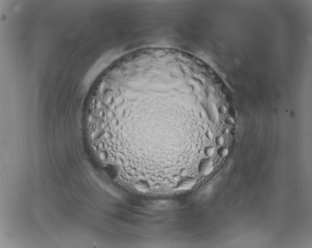 X0000067950151200604272108