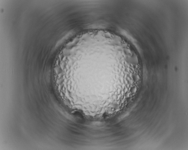 X0000067950153200604272108