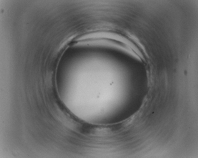 X0000067950154200604272108