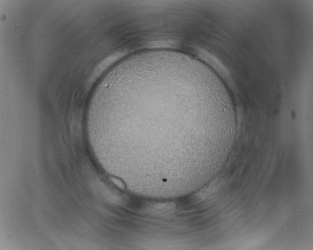 X0000067950155200604272108