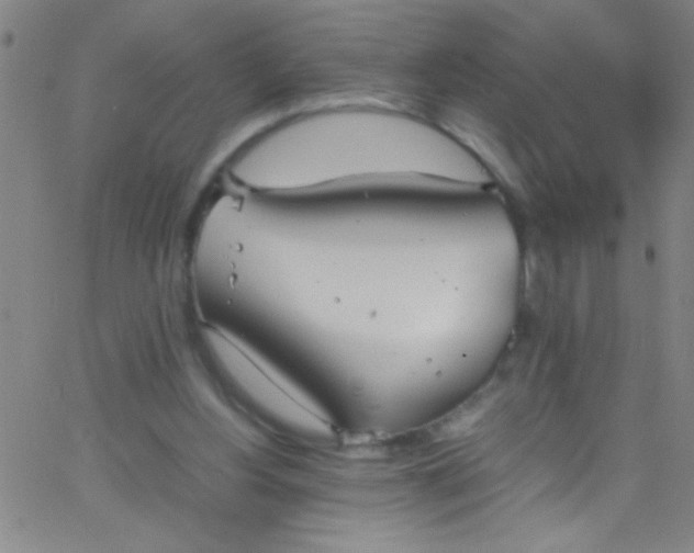 X0000067950156200604272108