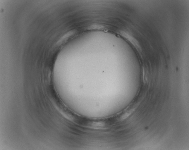 X0000067950157200604272108