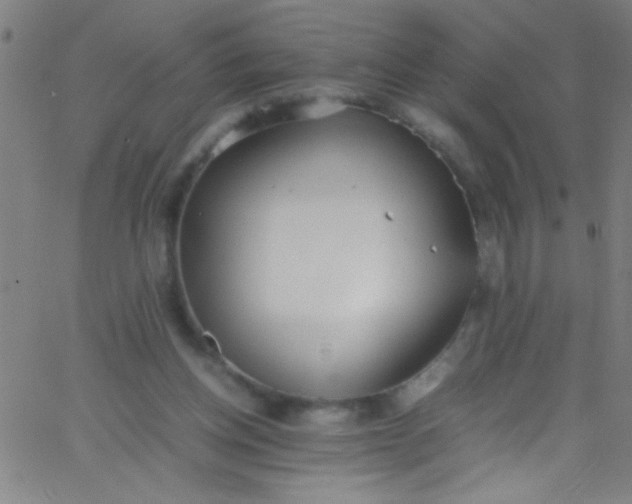 X0000067950158200604272108