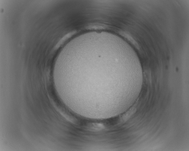 X0000067950159200604272108