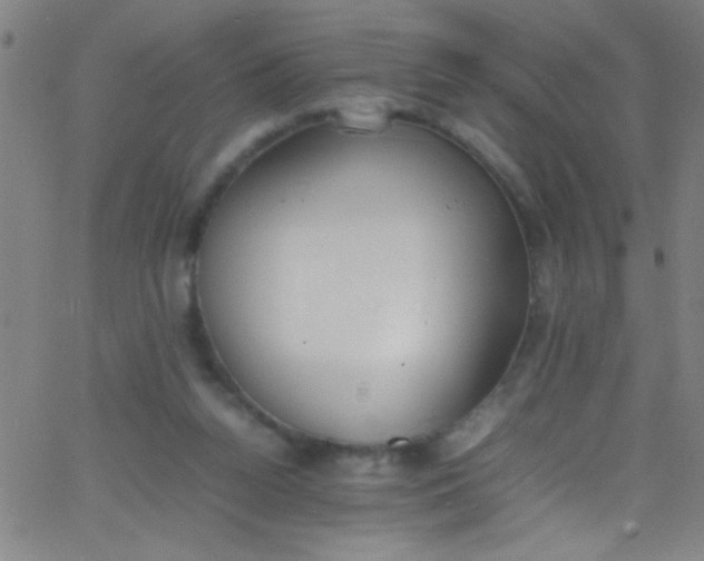 X0000067950160200604272108