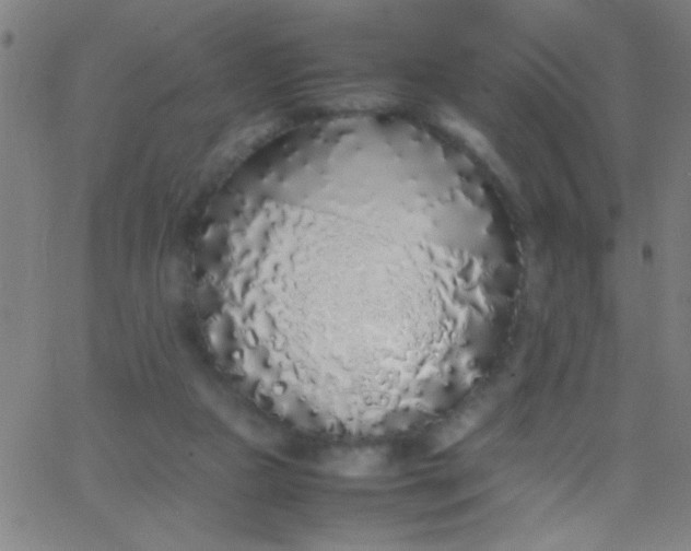 X0000067950161200604272108