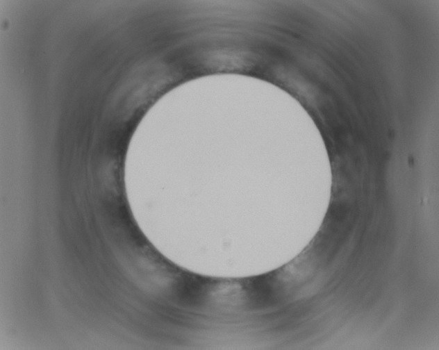 X0000067950162200604272108