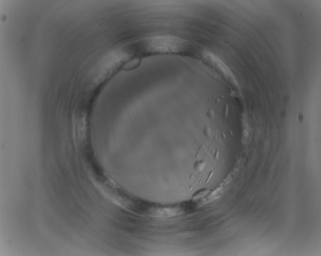 X0000067950163200604272108