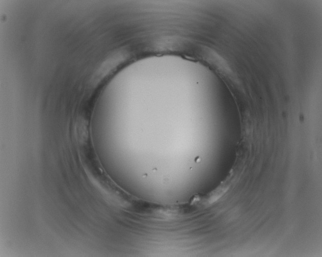 X0000067950164200604272108