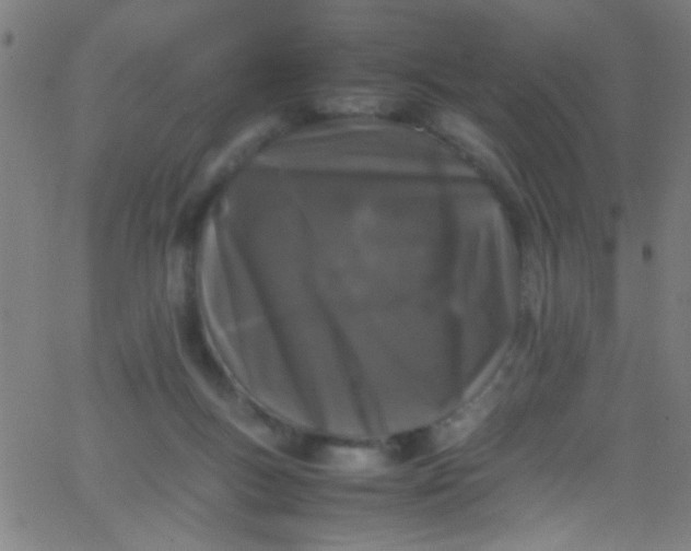 X0000067950167200604272108