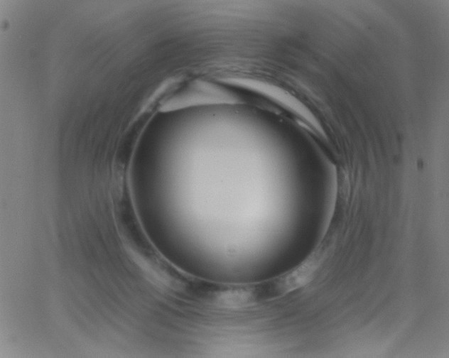 X0000067950168200604272108