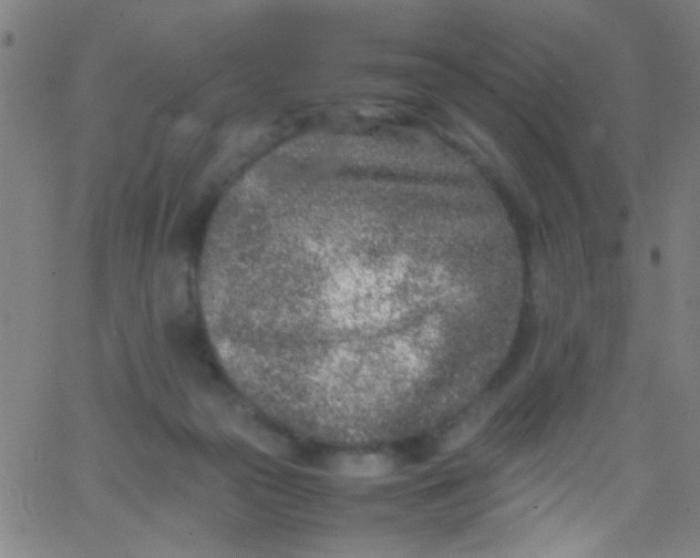 X0000067950169200604272108