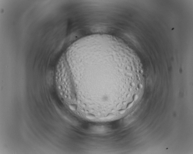 X0000067950171200604272108