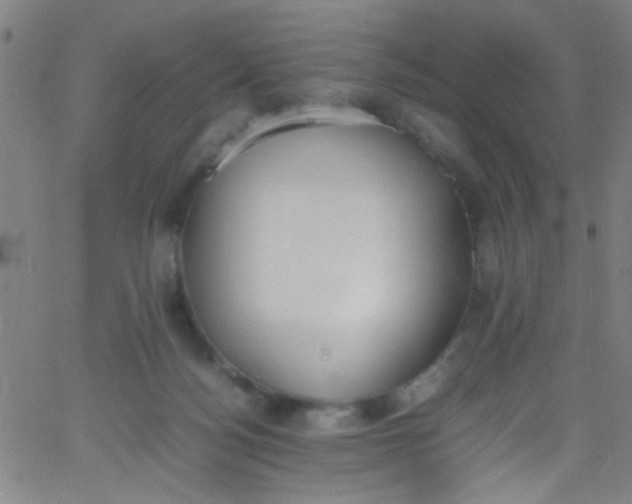 X0000067950172200604272108