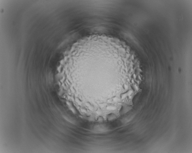 X0000067950173200604272108