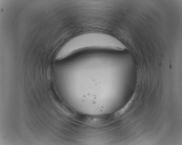 X0000067950174200604272108