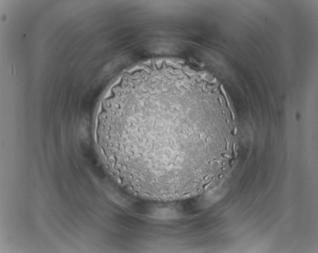 X0000067950175200604272108