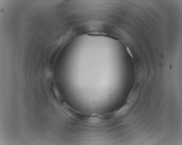 X0000067950176200604272108