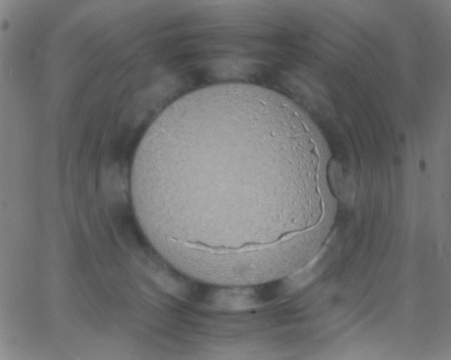 X0000067950179200604272108