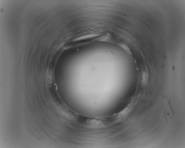 X0000067950180200604272108