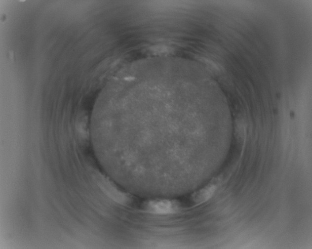 X0000067950181200604272108