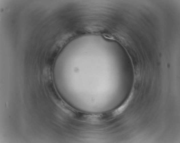 X0000067950182200604272108