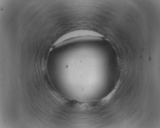 X0000067950186200604272109