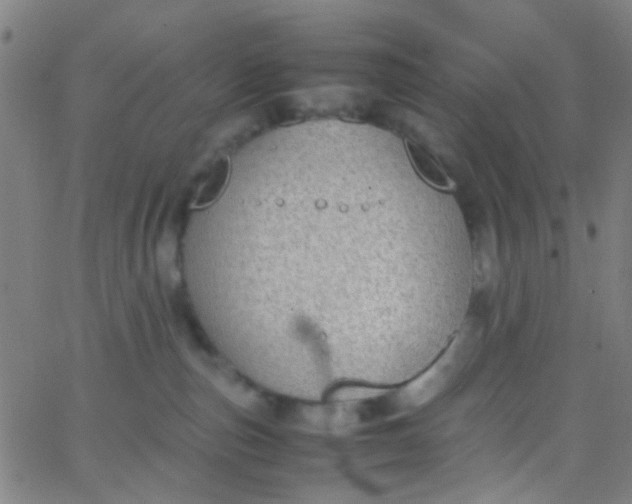 X0000067950187200604272109