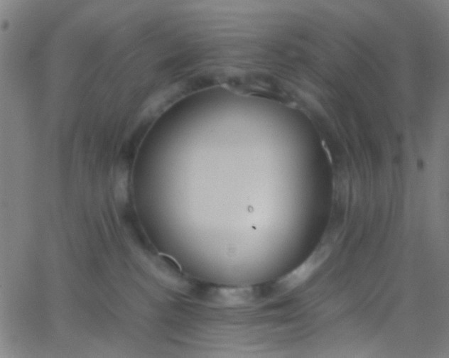 X0000067950188200604272109