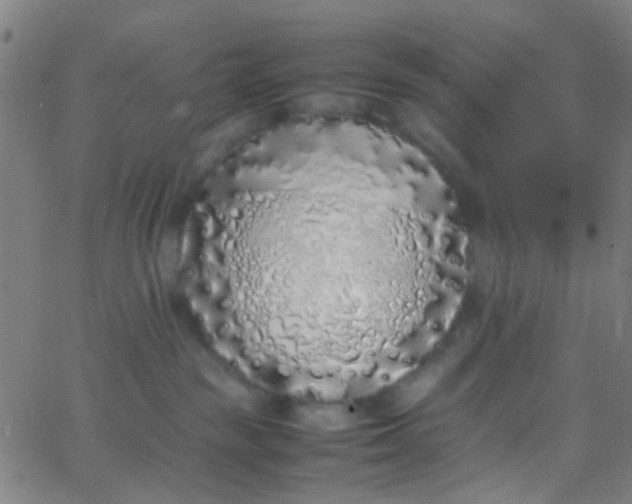 X0000067950189200604272109