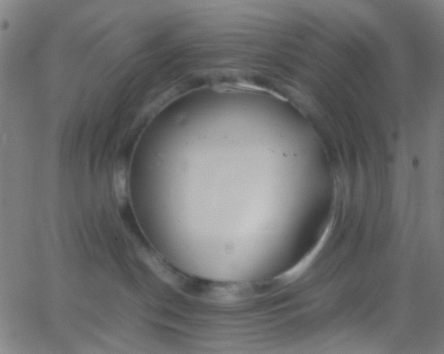 X0000067950190200604272109