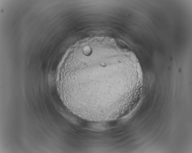 X0000067950191200604272109