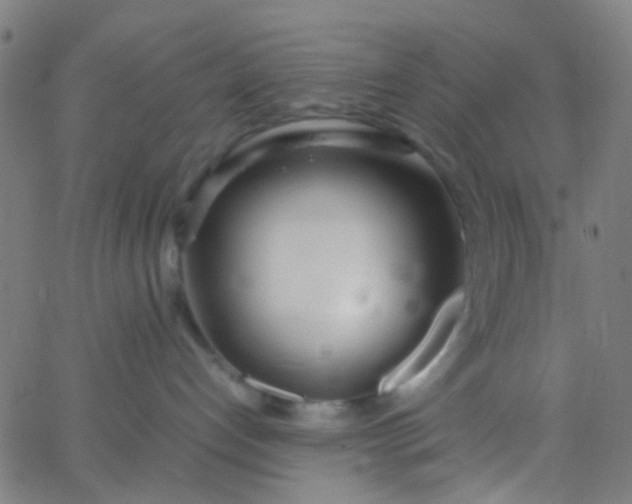 X0000067950192200604272109