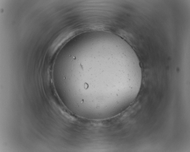 X0000067950194200604272108