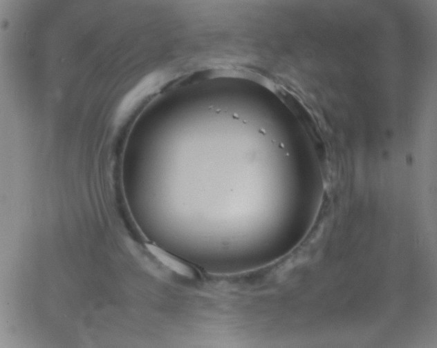 X0000067950197200604272108