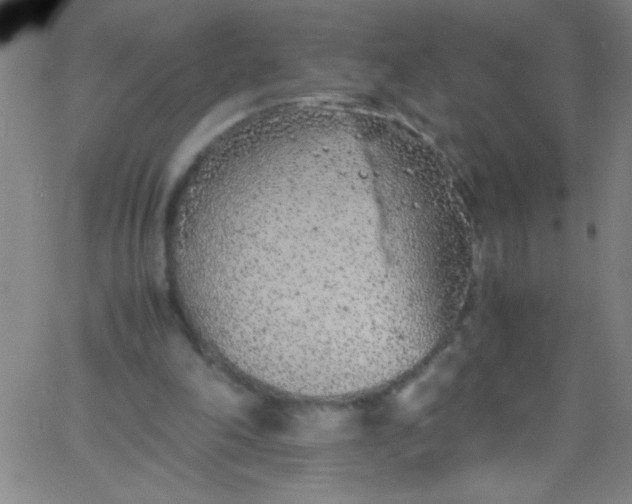 X0000067950198200604272108