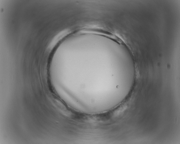 X0000067950199200604272108